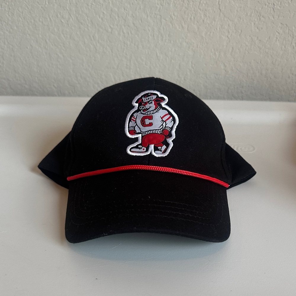 Carolina Hurricanes Mascot Stormy Hat